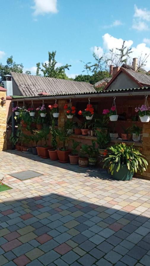 Guest House Zhanna Berehove  Exterior photo