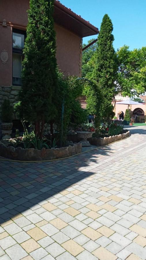 Guest House Zhanna Berehove  Exterior photo